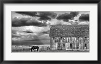 Framed Horse and Barn