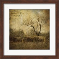 Framed Hayrollers