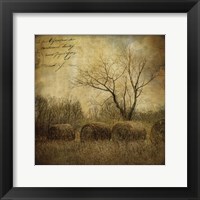 Framed Hayrollers