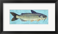 Framed Channel Catfish