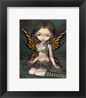 Framed Fairy with Dried Flowers