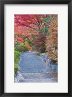 Framed Tenryuji Temple Garden, Sagano, Arashiyama, Kyoto, Japan