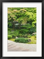 Framed Sennyuji Temple Garden, Kyoto, Japan