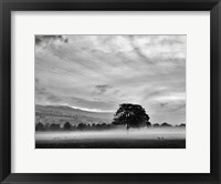 Framed Misty Weather IV