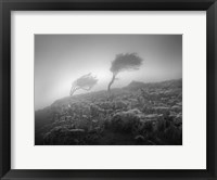 Framed Misty Weather VI