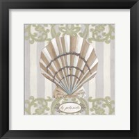 Riviera Shell I Framed Print