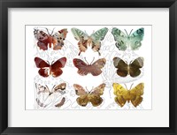 Layered Butterflies II Framed Print