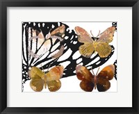 Layered Butterflies III Framed Print