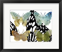 Layered Butterflies IV Framed Print