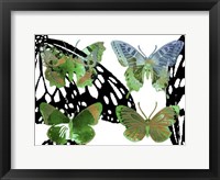 Framed Layered Butterflies V