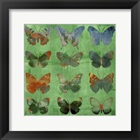 Framed Butterflies on Green