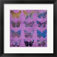 Framed Butterflies on Magenta