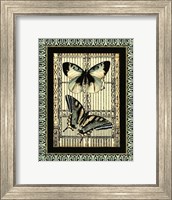 Framed Small Butterfly Fancy I