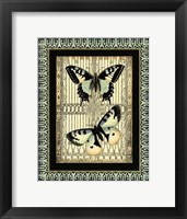 Small Butterfly Fancy II Framed Print