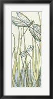 Gossamer Dragonflies II Framed Print