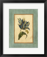 Framed Crackled Spa Blue Tulip II