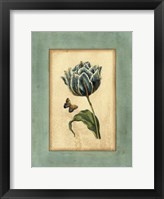 Framed Crackled Spa Blue Tulip IV