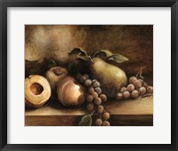 Classic Still Life I Framed Print