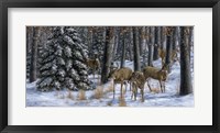 Winter Gathering Framed Print