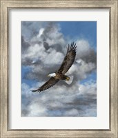 Framed Soaring