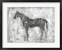 Equine Silhouette II Framed Print