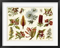 Tropical Botany Chart I Framed Print