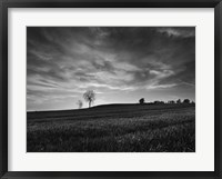 Framed Black & White Sunset