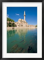 Framed Halil-ur Rahman Mosque, Pool of Abraham, Urfa, Turkey