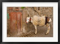 Framed Donkey and Cobbled Streets, Mardin, Turkey