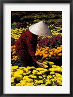 Framed Gardens with Woman in Straw Hat, Mekong Delta, Vietnam