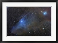 Framed Reflection complex in Scorpius