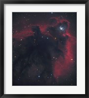 Framed Cometary Globule in Orion