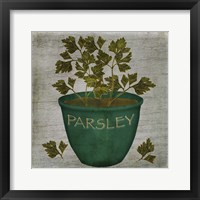 Framed Herb Parsley