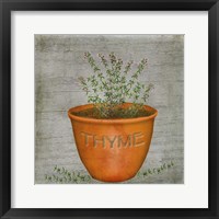 Herb Thyme Framed Print