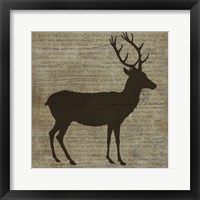 Framed Deer