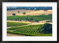 Framed Mountadam vineyard winery on High Eden Road, Barossa Valley, Australia