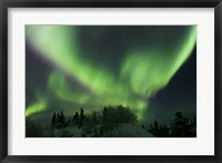 Framed Aurora Borealis Takes Flight