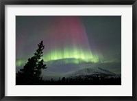 Framed Red and Green Aurora Borealis over Carcross Desert