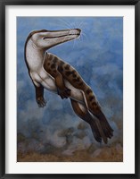 Framed Ambulocetus Natans