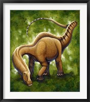 Framed Apatosaurus