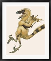 Framed Bambiraptor