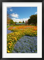 Framed Flower garden, Pollard Park, Blenheim, Marlborough, South Island, New Zealand (vertical)