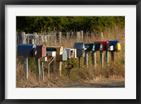 Framed Rural Letterboxes, Otago Peninsula, Dunedin, South Island, New Zealand