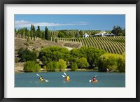 Framed Kayakers and vineyard, Bannockburn Inlet, Lake Dunstan, Central Otago, South Island, New Zealand