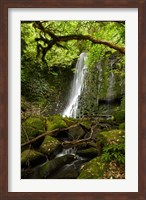 Framed Matai Falls, Catlins, South Otago, South Island, New Zealand