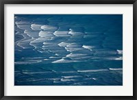 Framed Waves at the Avon and Heathcote Rivers, Christchurch, New Zealand