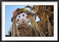 Framed Scarecrow and Dead Corn Husks, Carnation, Washington