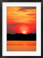 Framed Amazon Jungle, Brazil, Sunset