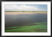 Framed Brazil, Amazon River, Santarem Meeting of the Waters Algae bloom