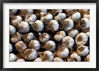 Framed Cuba, Santa Clara Garlic Cloves for sale in a local street market